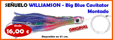 wiliamson, big blue, igfa, marlin, www.deportespineda.com