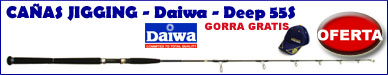 http://www.deportespineda.com/productos/canas/jigging/daiwa/daiwa2.asp