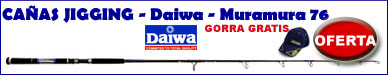 http://www.deportespineda.com/productos/canas/jigging/daiwa/daiwa2.asp