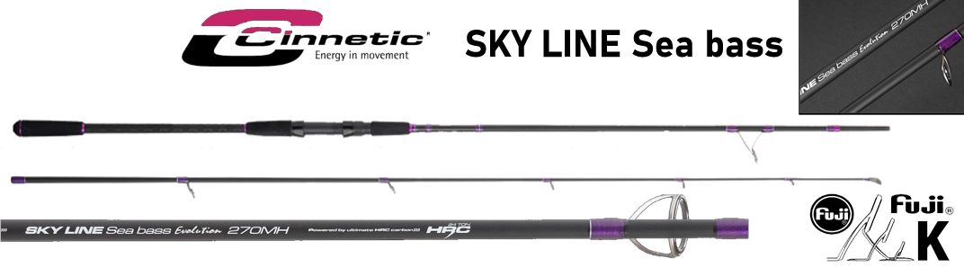 cinnetic 9500 SKY LINE Sea bass Evolution MH game