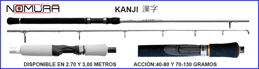 Cana daiwa power cast, Pescaworld