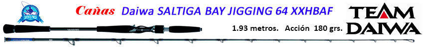 caa_daiwa_saltiga_bay_jigging