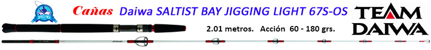 caa_daiwa_saltist_bay_jigging_light