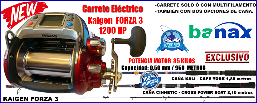 Kaigen FORZA3 1200HP