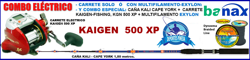 Kaigen 500 XP