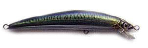 Magnet minnow